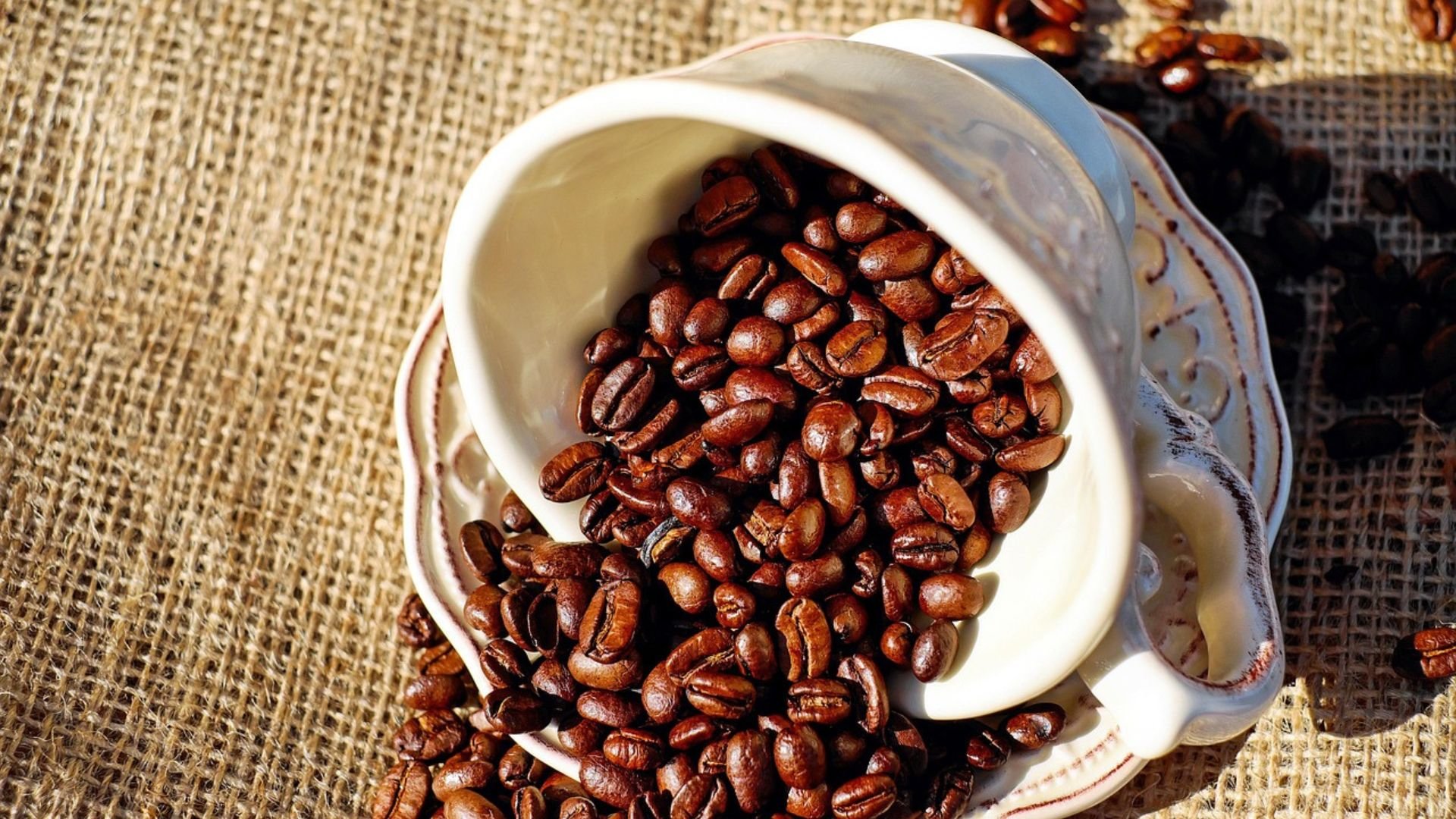 Colômbia Apresenta Café Umbral Resistente ao Calor - Imagem do artigo original