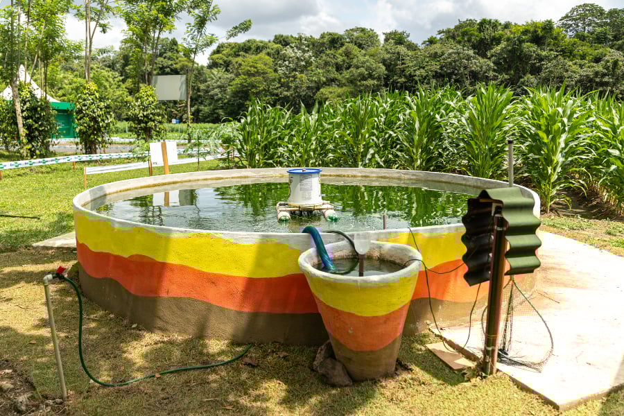 Agricultura Urbana Ganha Espaço na COP30 - Imagem do artigo original