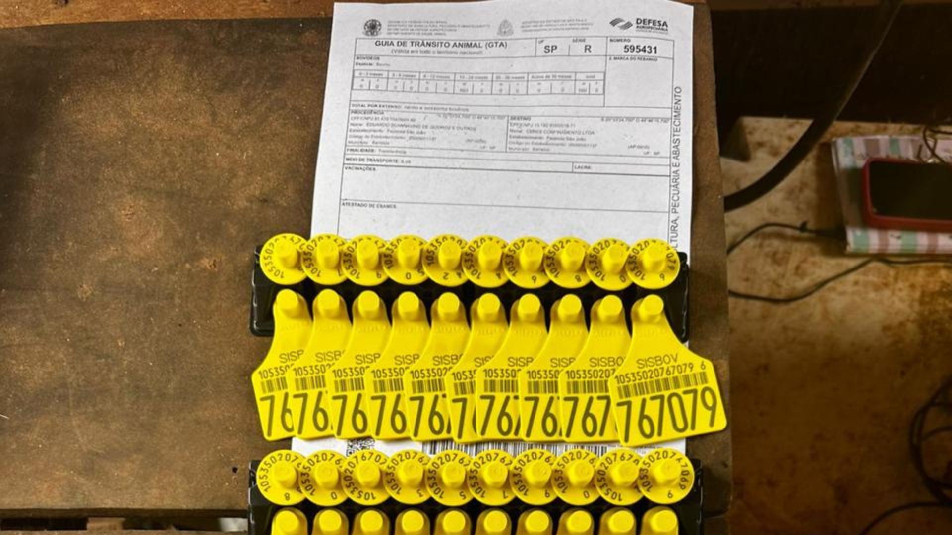 Plano Nacional Quer Rastrear 238 Mi de Bovinos até 2032 - Imagem do artigo original