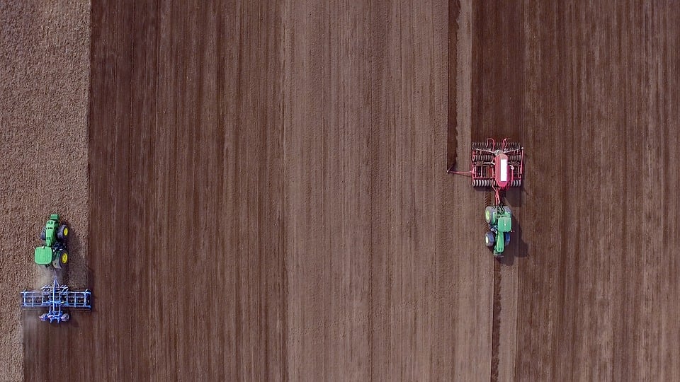 Plantio de Soja Alcança 58,4% da Área Prevista no País - Imagem do artigo original