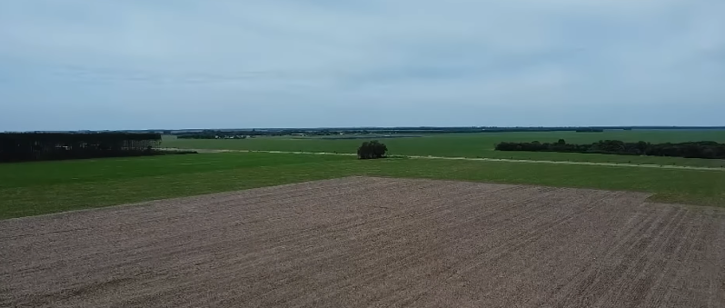 Chuvas Irregulares Ameaçam Safra de Soja em Mato Grosso - Imagem do artigo original