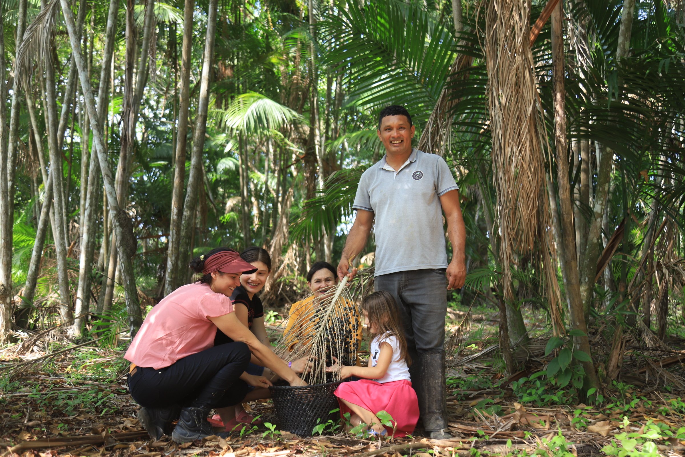 Açaí Impulsiona Economia e Fortalece Agricultura no Pará - Imagem do artigo original