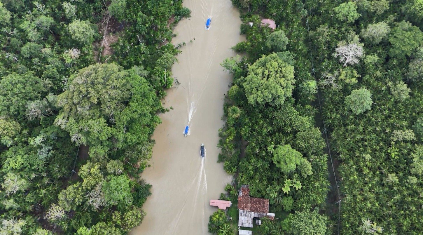 Ilha do Combu Destaca Bioeconomia na COP30 - Imagem do artigo original