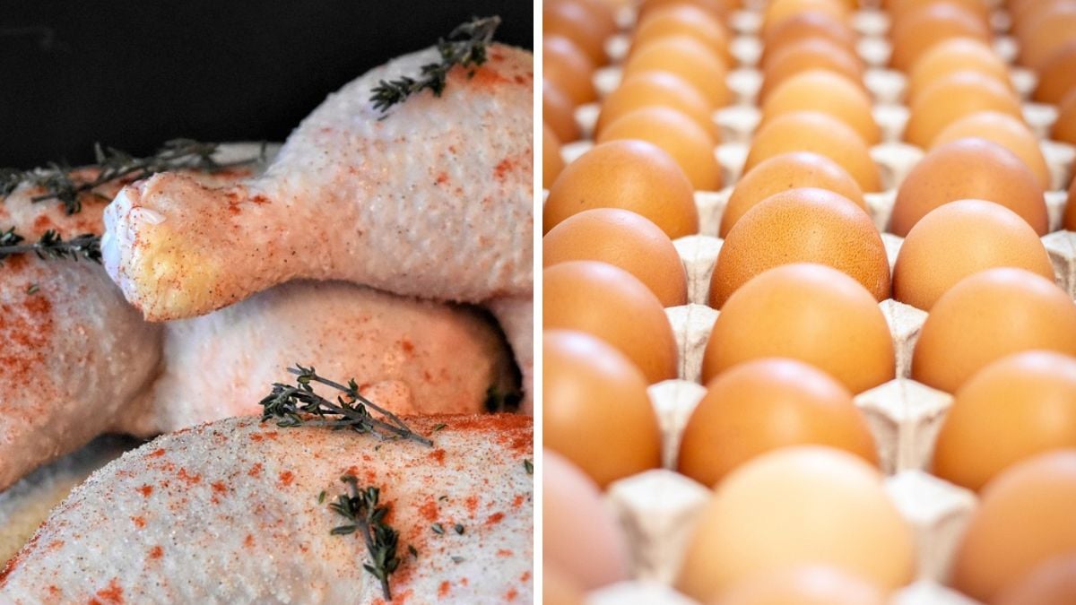 UE Retoma Pre-listing para Carnes de Aves e Ovos do Brasil - Imagem do artigo original