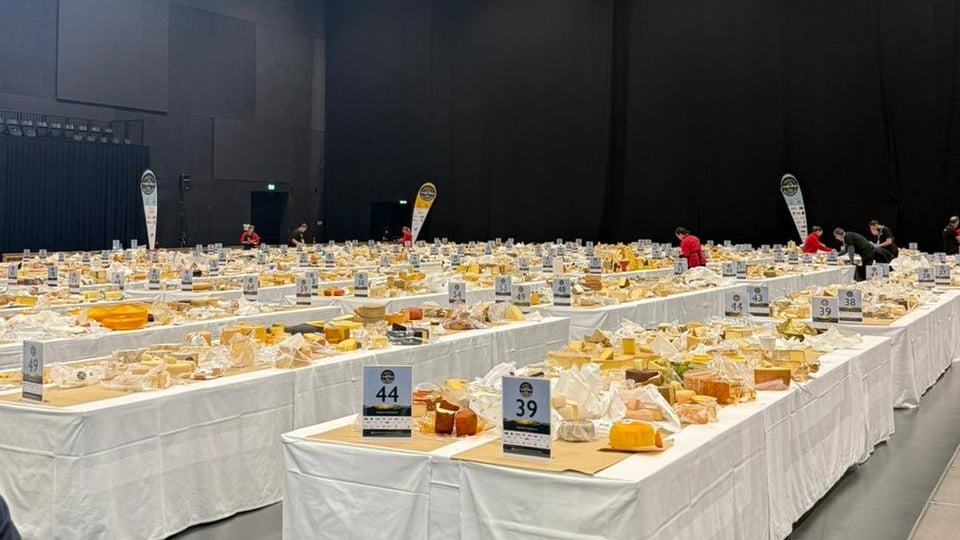 Brasil Leva 50 Medalhas no World Cheese Awards 2025 - Imagem do artigo original