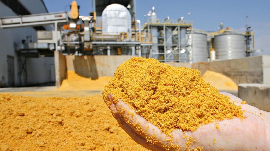 Brasil Expande Exportação de DDG, Macaúba e Noz-Pecã - Imagem do artigo original