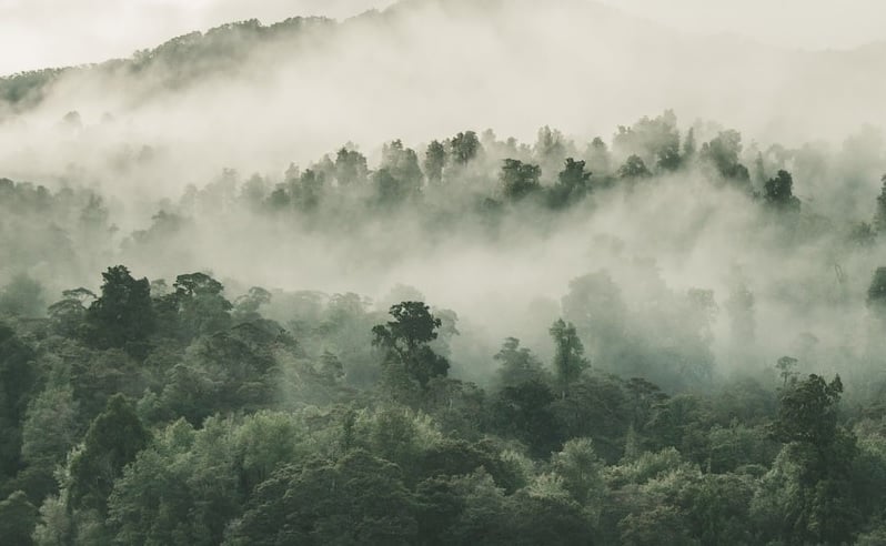 Frente Fria Mantém Chuva no Sudeste e Nordeste no Feriado