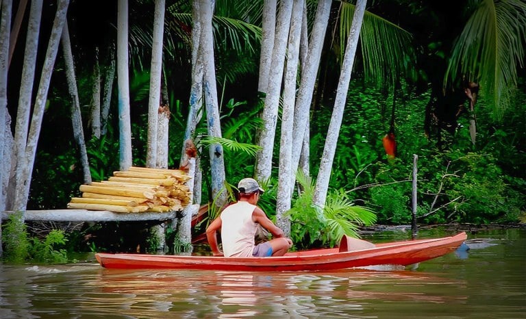 Produção Sustentável em Assentamentos do Pará na COP30