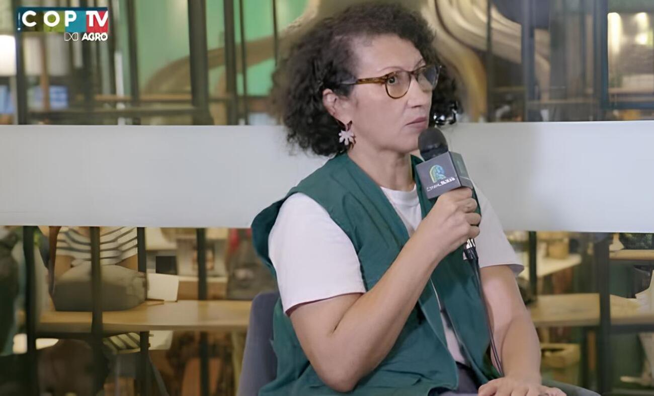 Financiamento Adequado Impulsiona Restauração Florestal, Diz Embrapa - Imagem do artigo original