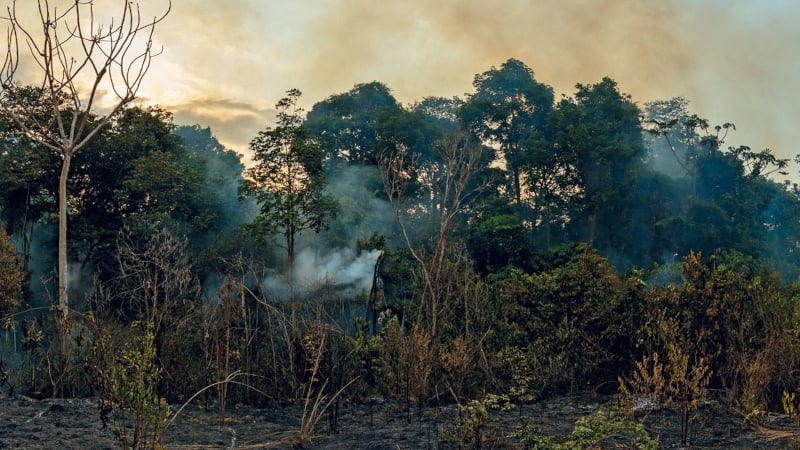 Brasil Pode Ter Alta de Até 4,5 °C, Alerta Climatologista - Imagem do artigo original