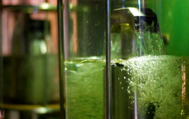 Tecnologias Podem Levar Etanol a Emissões Negativas