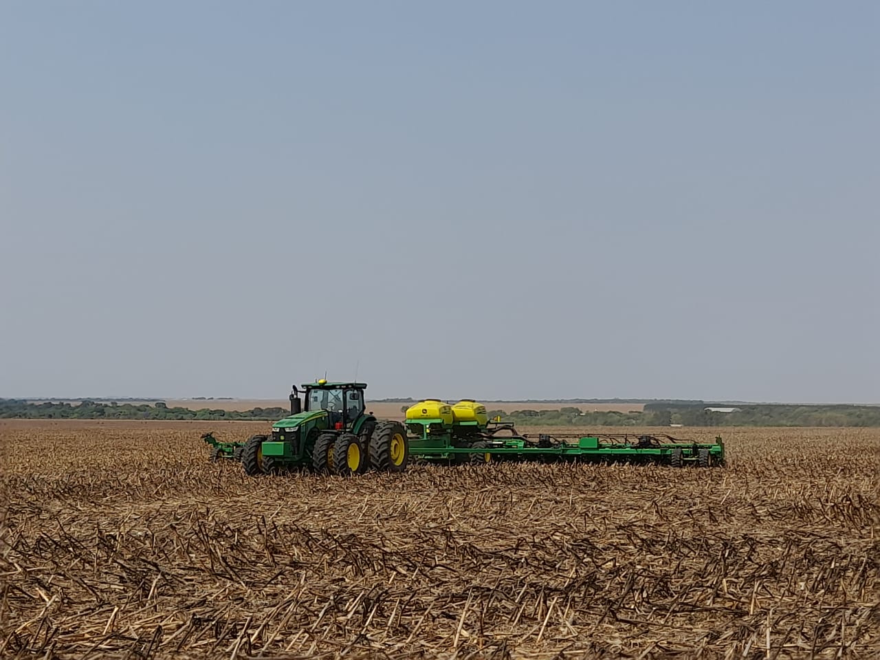 AgRural: Plantio de Soja 25/26 Avança para 81% - Imagem do artigo original