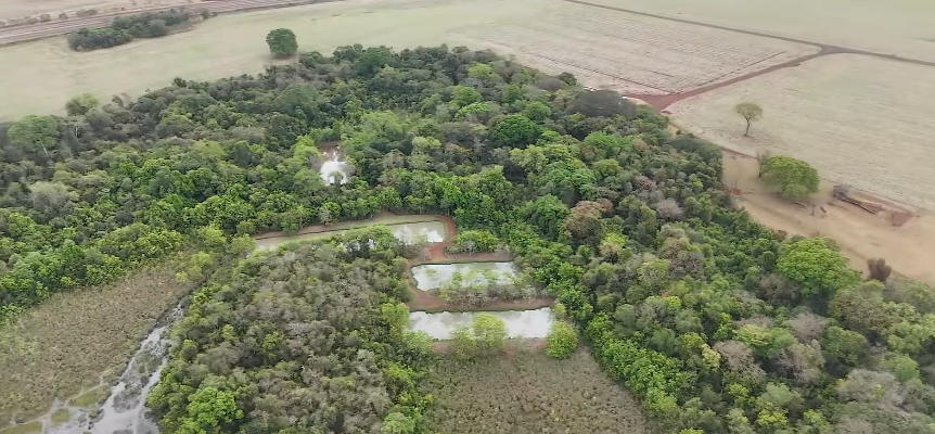 Produtores Investem em Tecnologia Para Soja na Faixa de Transição - Imagem do artigo original