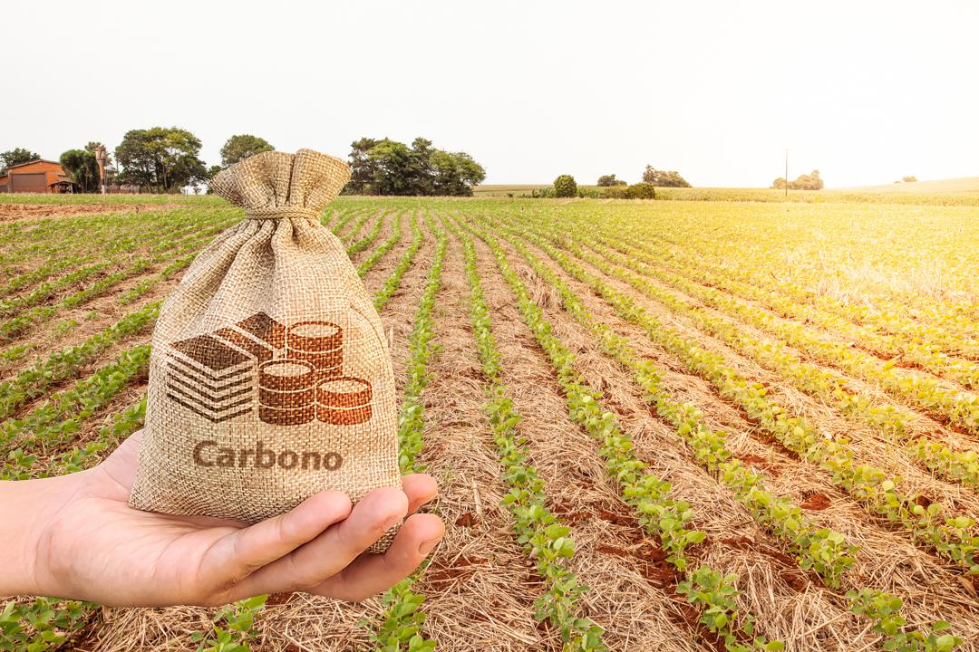 Governo Quer Regulamentar Mercado de Carbono até 2026 - Imagem do artigo original