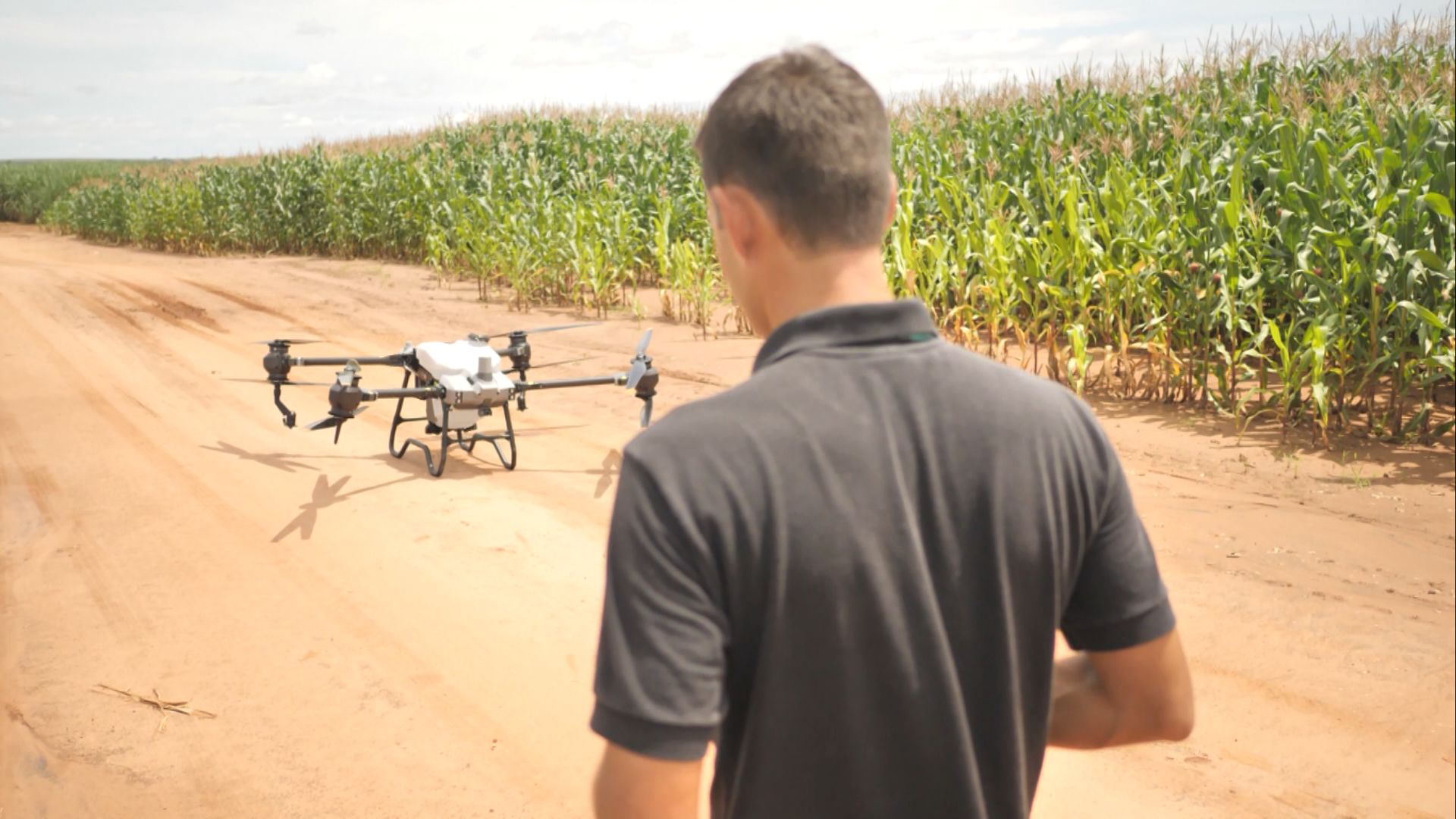Riscos Legais da Pulverização Agrícola com Drones - Imagem do artigo original