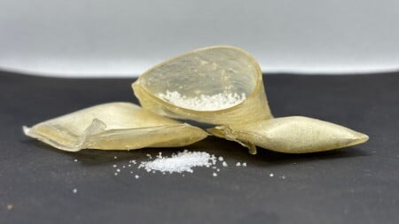 Embrapa Testa Sachê de Amido para Liberar Fertilizante - Imagem do artigo original