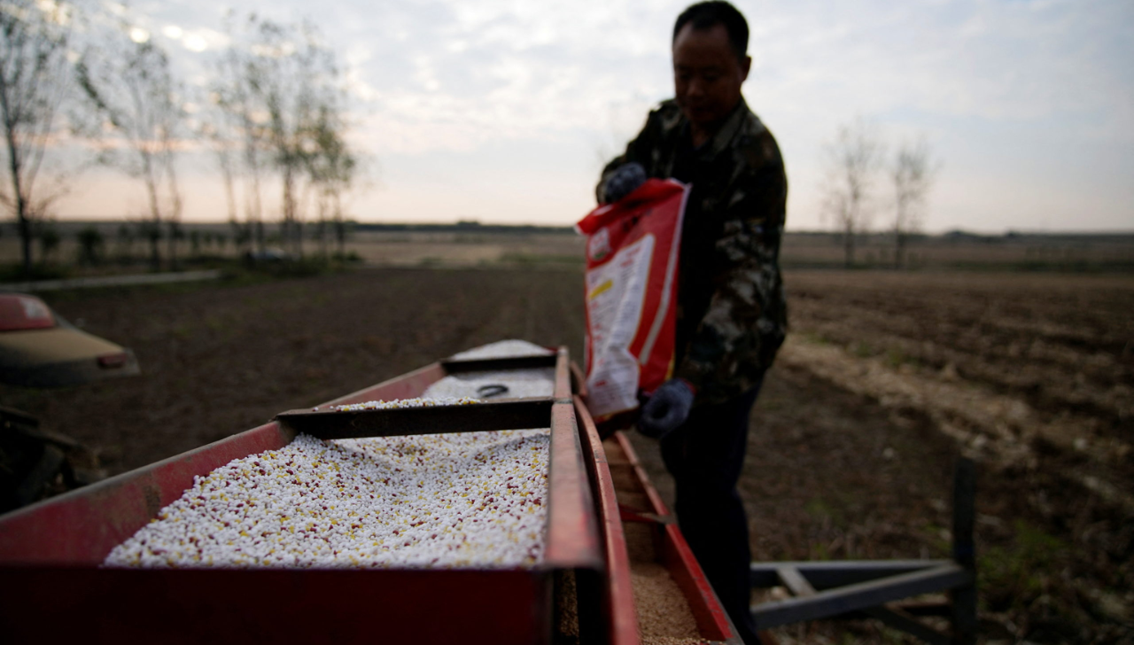 China Lidera Fornecimento de Fertilizantes ao Brasil