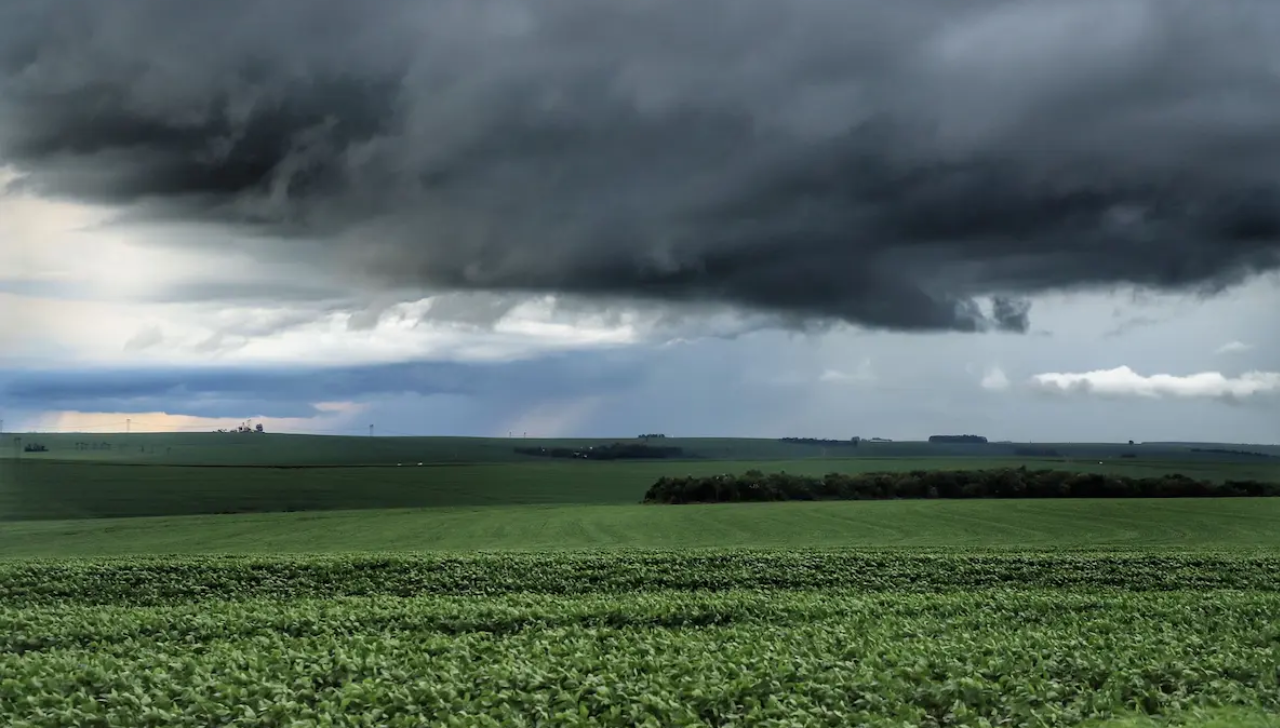 Chuvas Alteram Calendário de Colheita da Soja no Paraná Chuvas Alteram Calendário de Colheita da Soja no Paraná