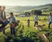 Como Começar a Viver da Terra Guia Prático para Iniciantes na Vida Rural