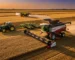 Como Maquinários Agrícolas Aumentam a Produtividade no Campo