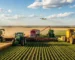Tecnologias Modernas em Máquinas Agrícolas que Estão Revolucionando o Agronegócio