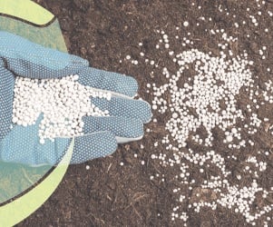 China Lidera Fornecimento de Fertilizantes ao Brasil - Imagem do artigo original