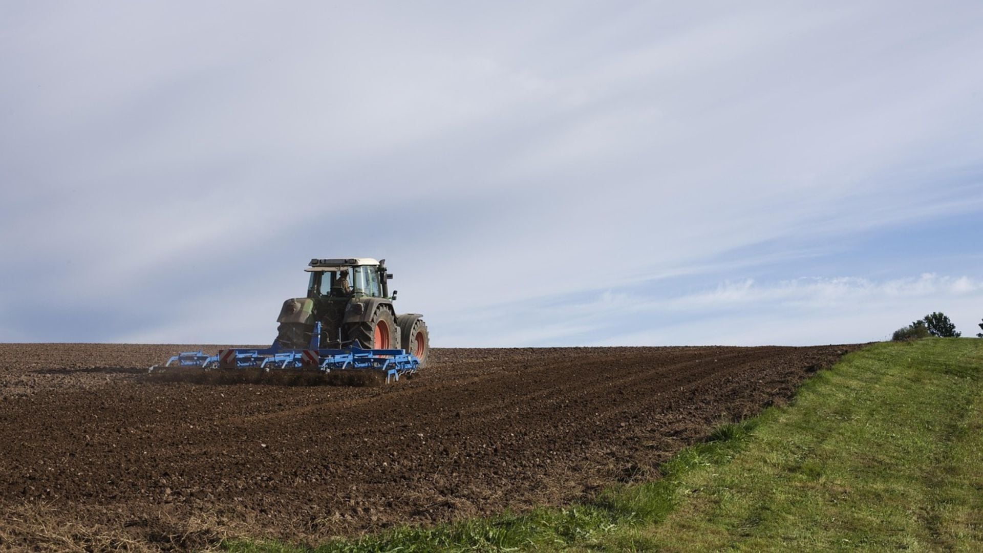 Agropecuária impulsiona PIB no 3º trimestre de 2025 - Imagem do artigo original