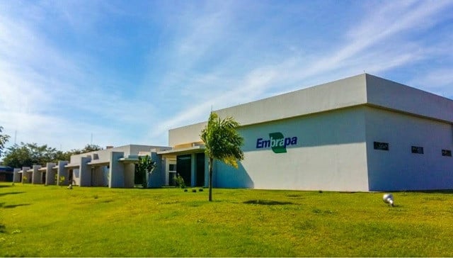 Imagem do artigo original