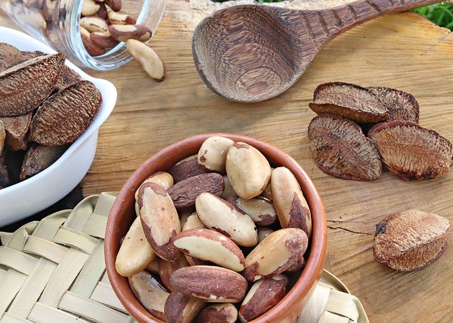 Farinha de Castanha-do-Brasil Tem 60% Mais Proteína - Imagem do artigo original