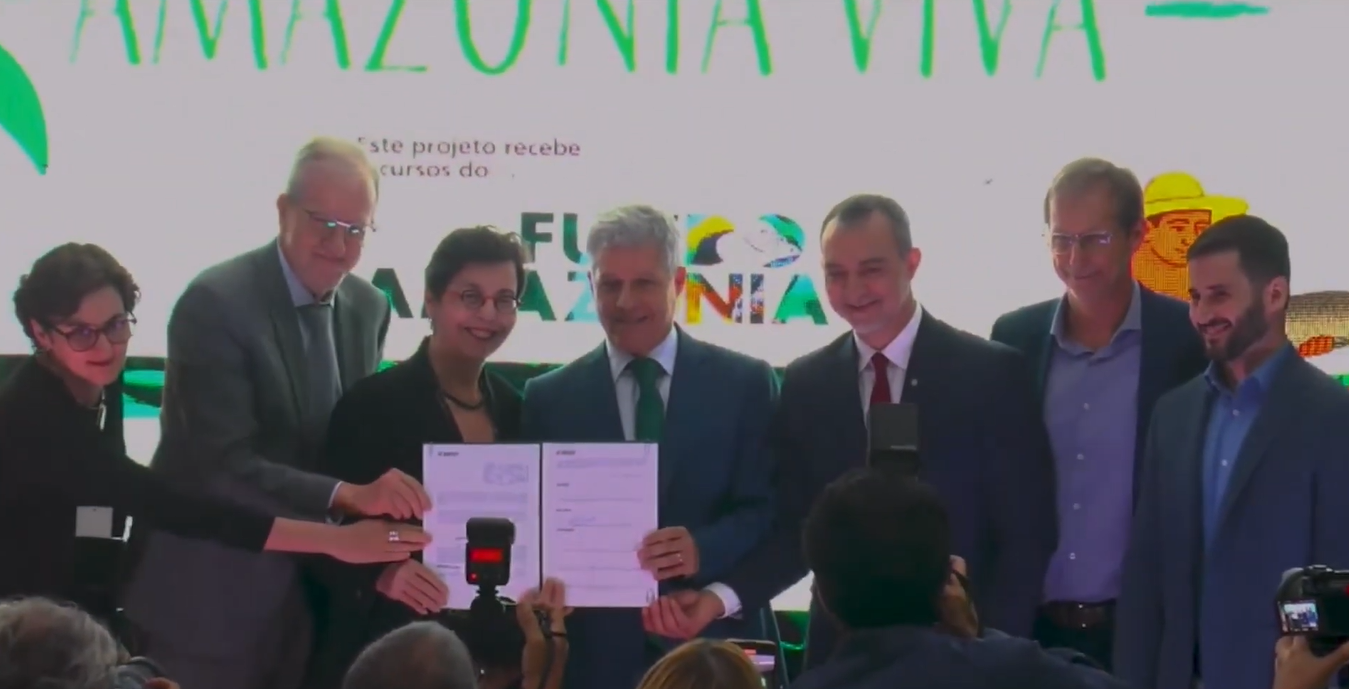 Imagem do artigo original