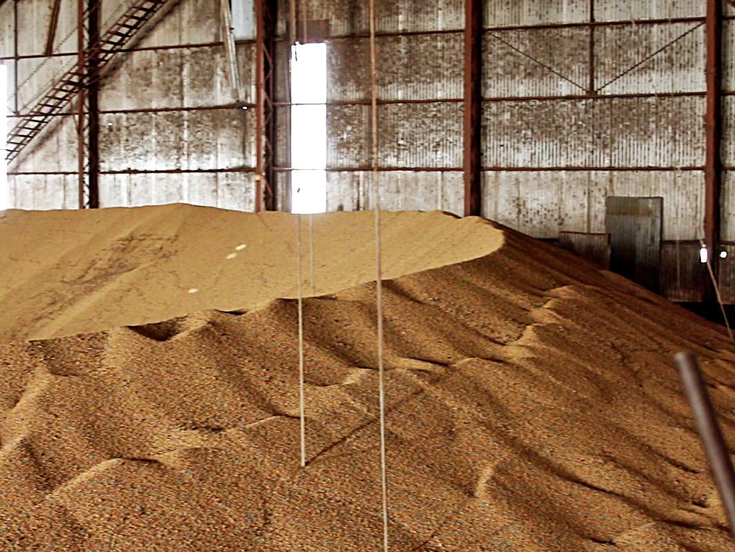 Preços da Soja Oscilam e Mercado Segue Travado - Imagem do artigo original