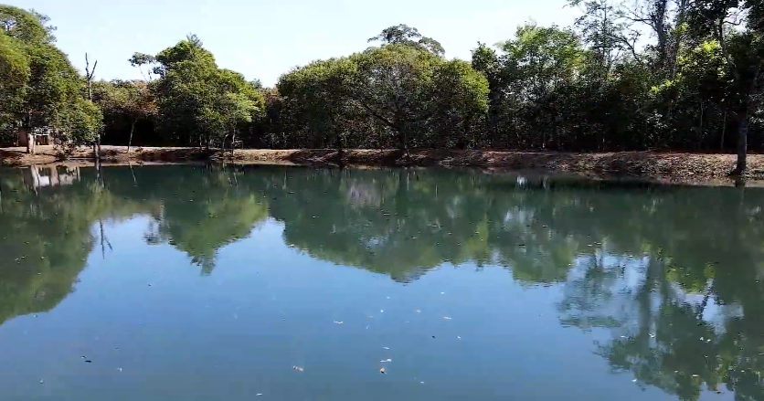 Produtores de Soja Preservam Nascentes em Mato Grosso - Imagem do artigo original