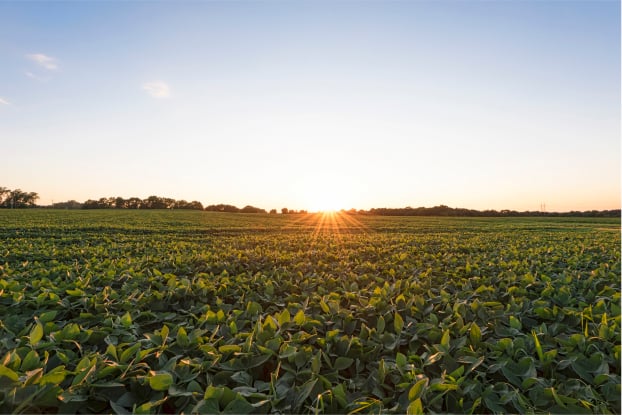 Imagem do artigo original