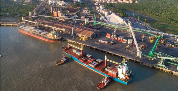 Imagem do artigo original