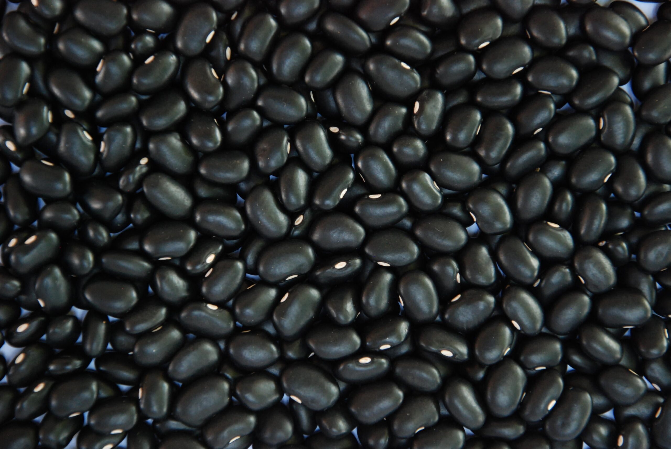 Feijão Preto Cai 36% em 2025; Carioca Mantém Valores - Imagem do artigo original