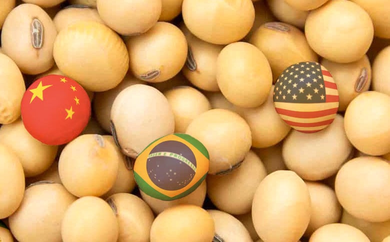 Imagem do artigo original