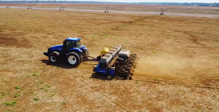 Semeadura De Soja Chega A 97,9% E Oito Estados Concluem - Imagem do artigo original