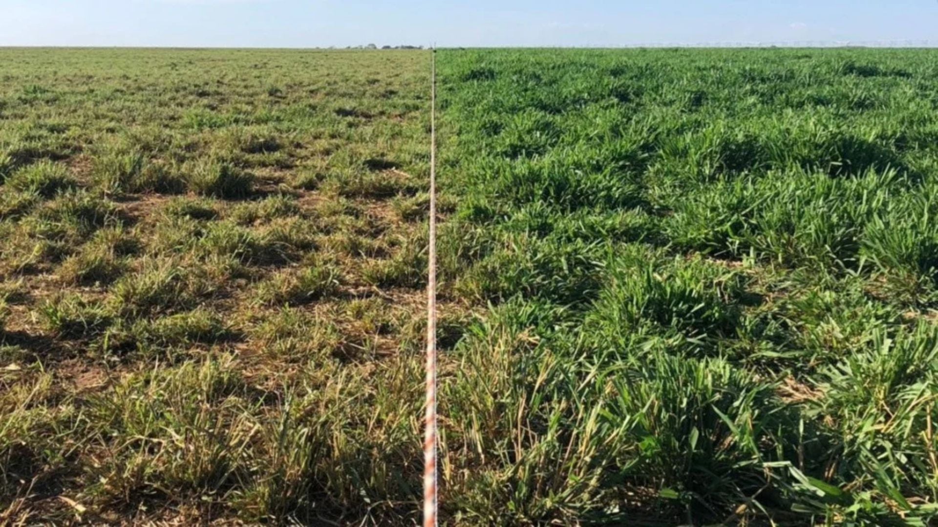 Piquetes Menores e Aguada Próxima Otimizam Pasto - Imagem do artigo original