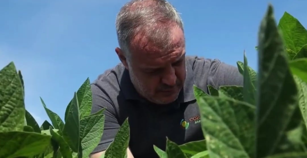 Produtores de Soja do Paraná Reforçam Manejo Contra o Clima - Imagem do artigo original