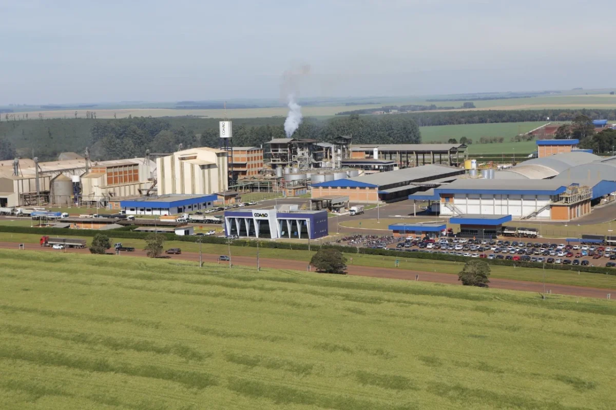 Imagem destacada Coamo Vai Antecipar R$ Milhões a Cooperados