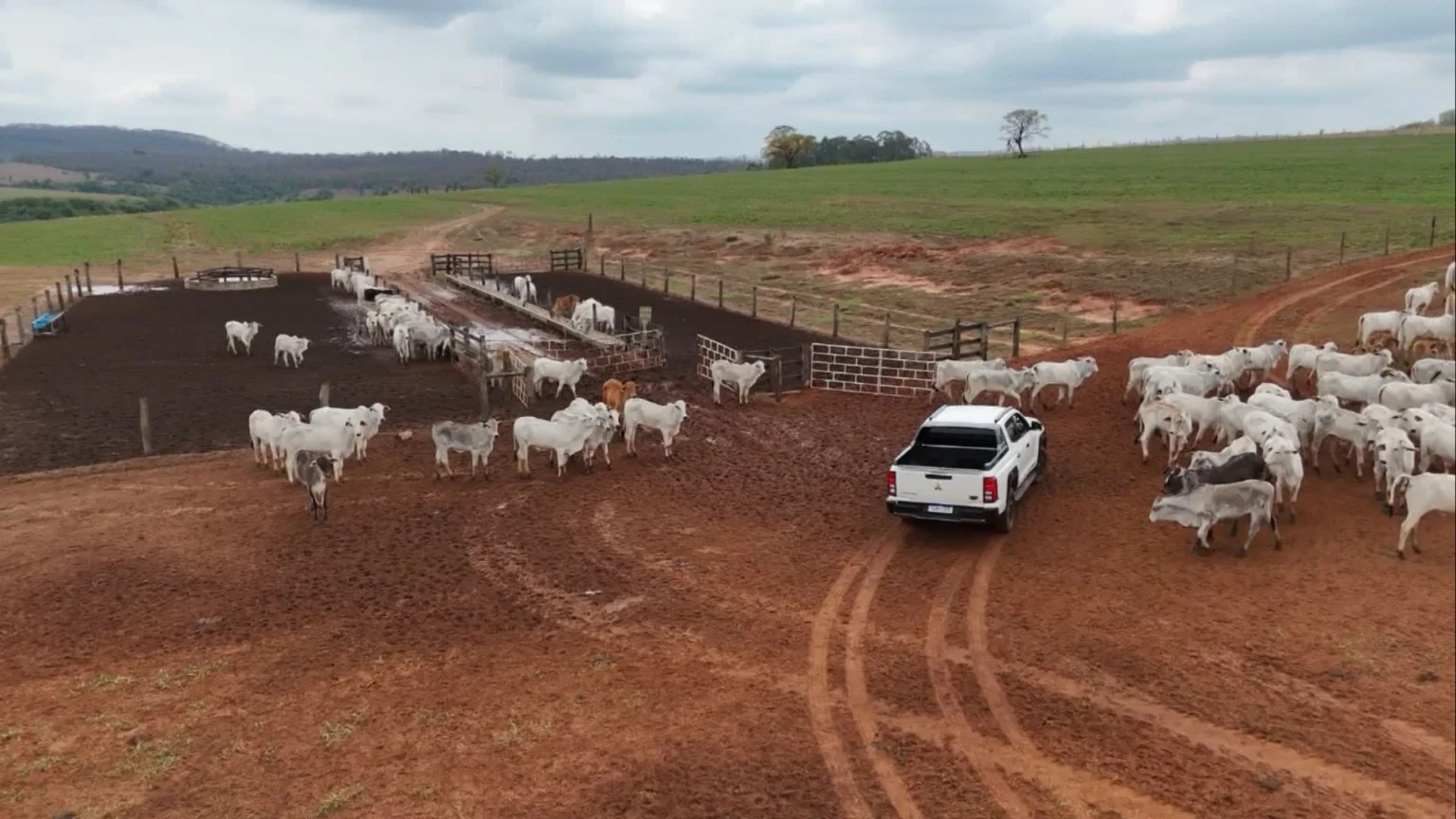 Imagem destacada Família Zanelatti Constrói Projeto de Carne Premium em SP