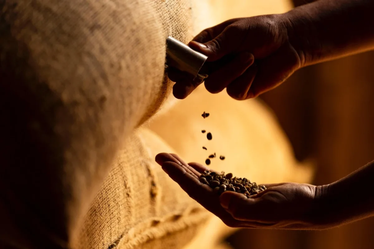 Imagem destacada Defasagem Portuária Trava Mil Sacas de Café