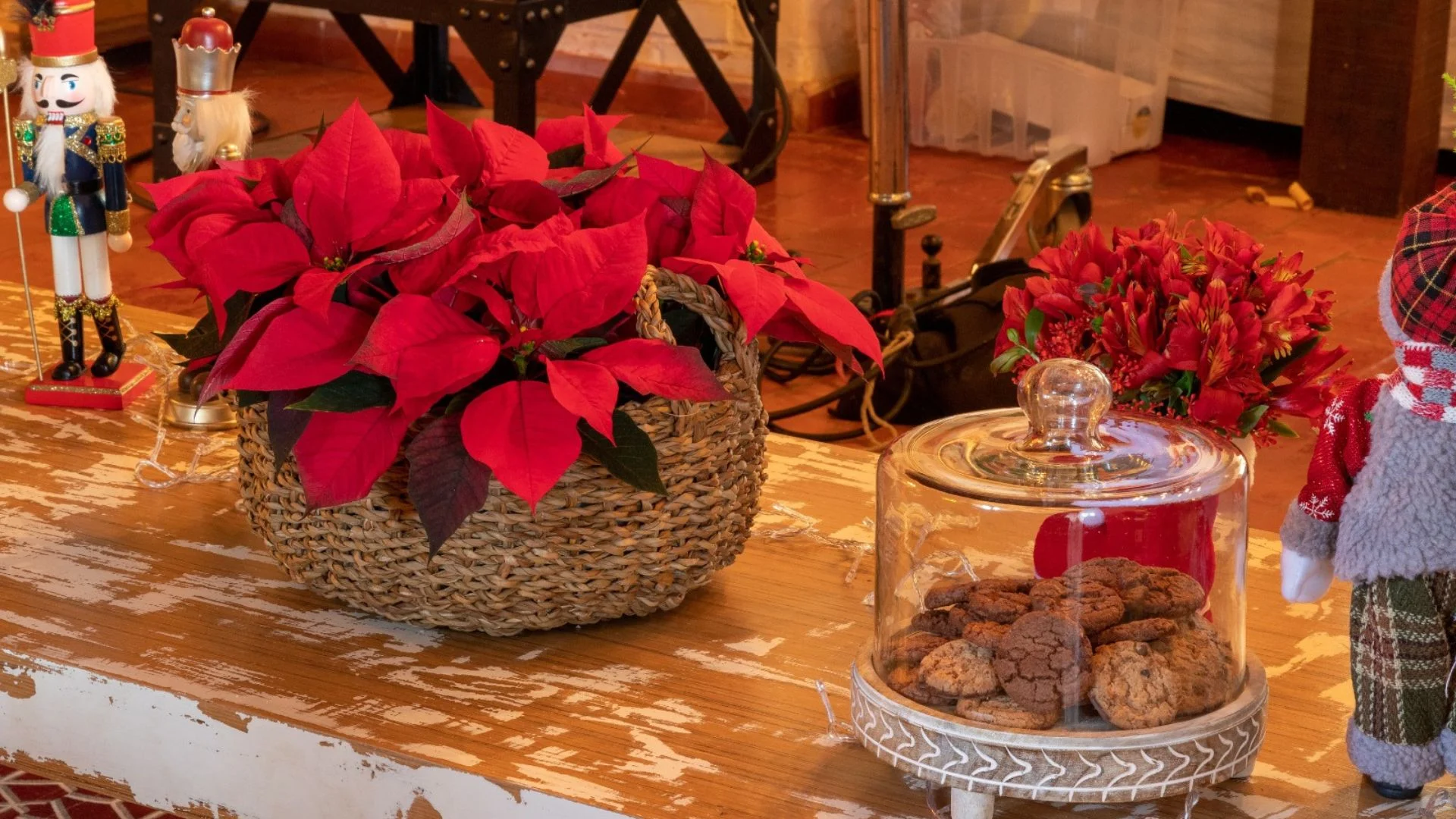 Imagem destacada Floricultura Projeta Alta de Até % em