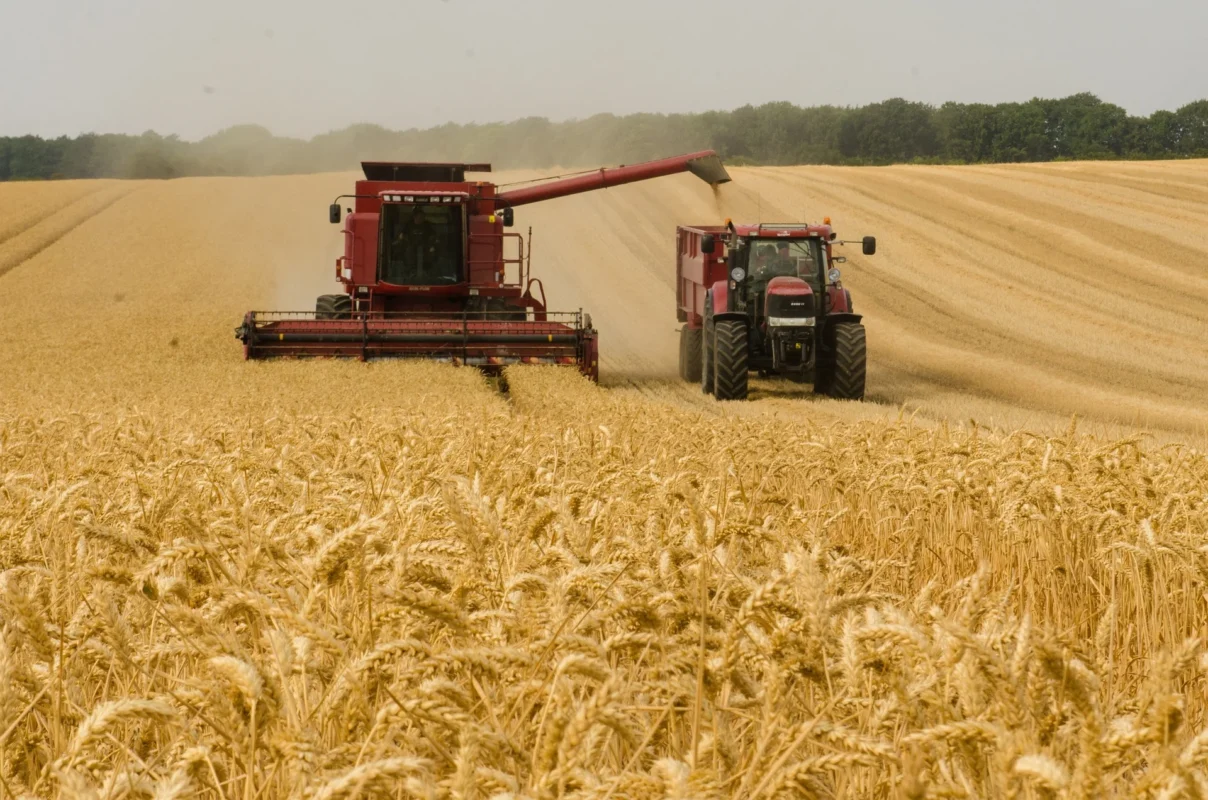 Imagem destacada Especialista Defende Menos Ruído na Comunicação do Agro
