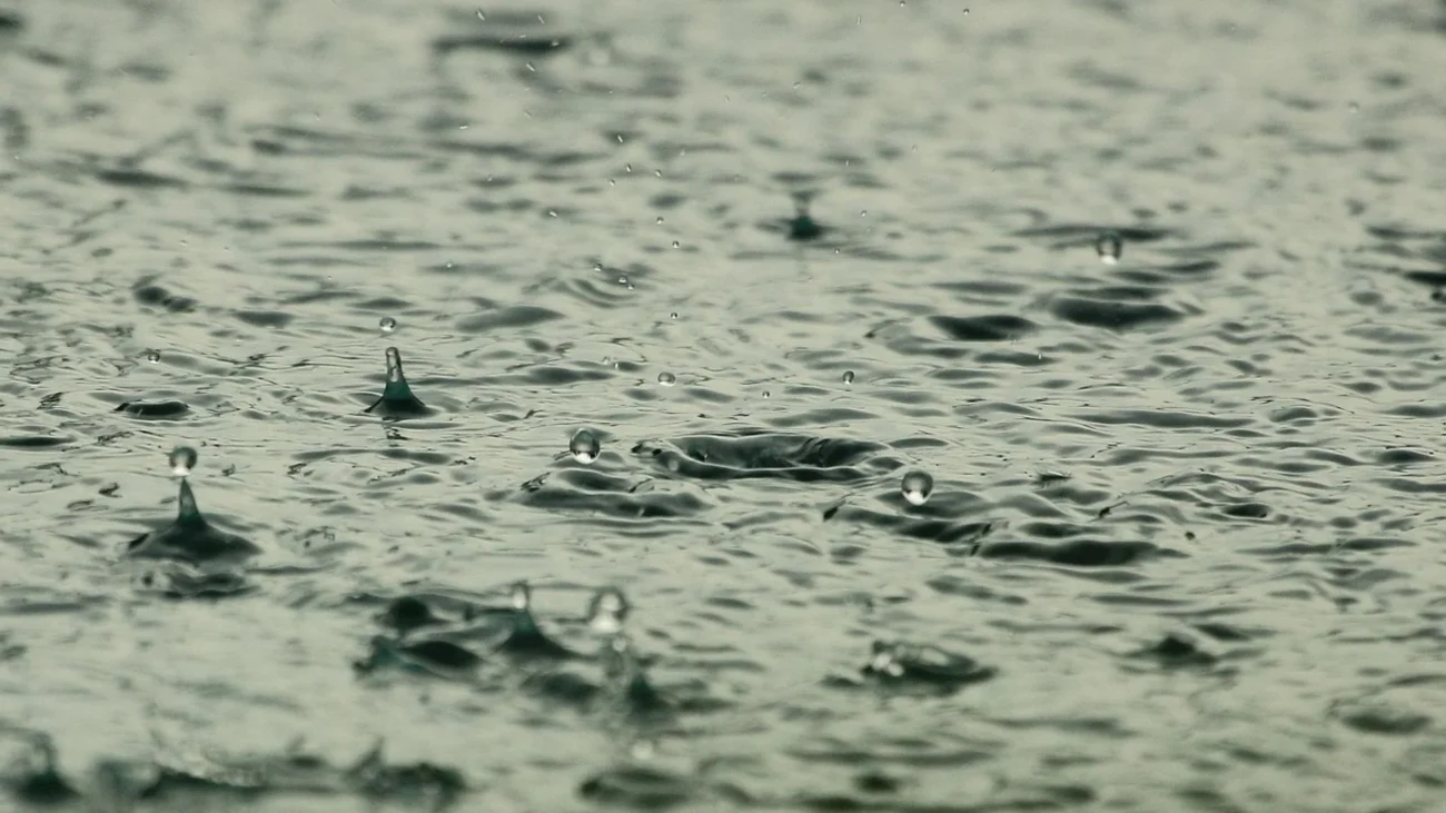 Imagem destacada Chuva Forte e Ventos Intensos Marcam a Quinta Feira