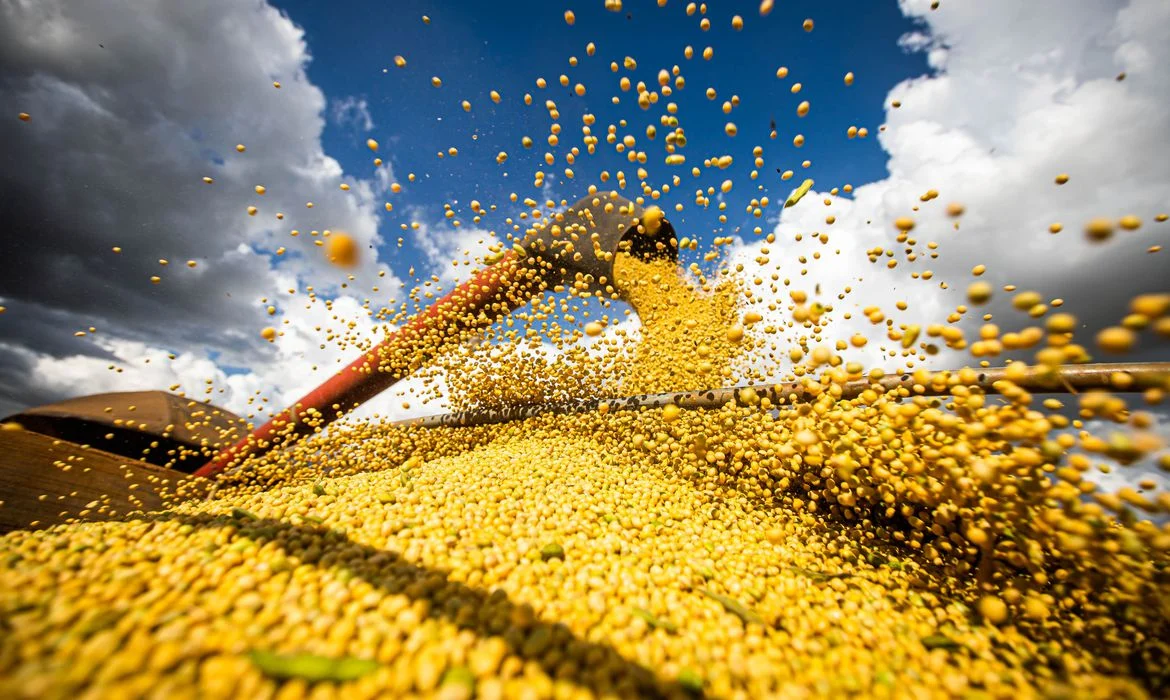 Imagem destacada Tocantins Sedia Abertura Nacional da Colheita da Soja /