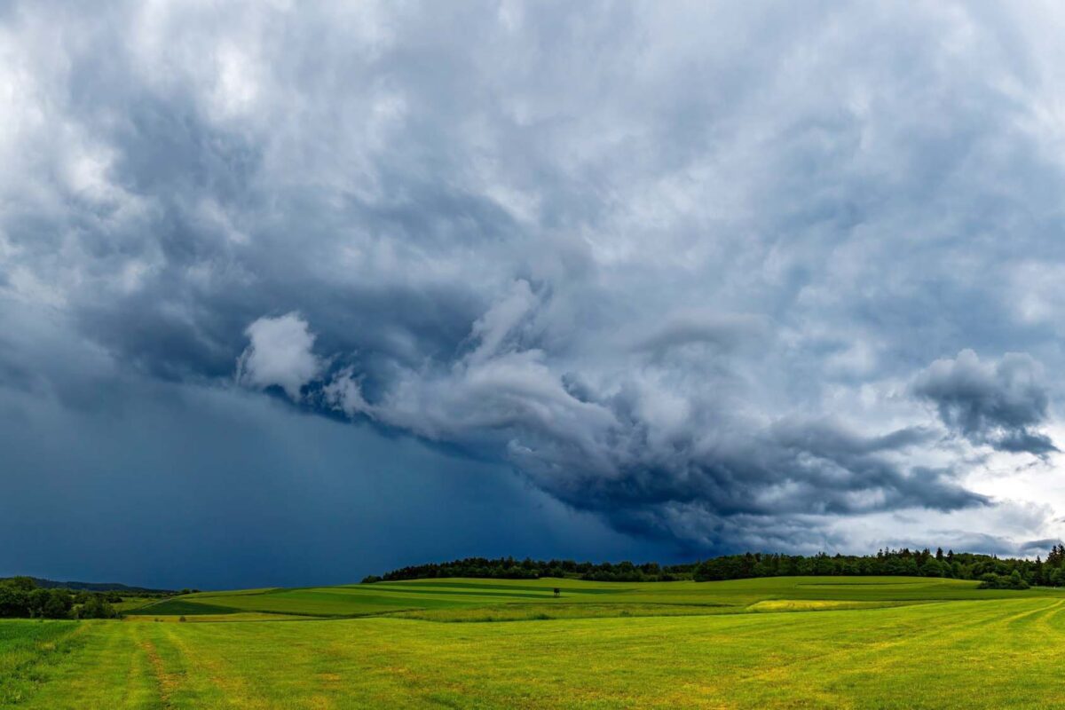 Imagem destacada Soja Brasil Encerra Temporada com Clima e Manejo do Solo