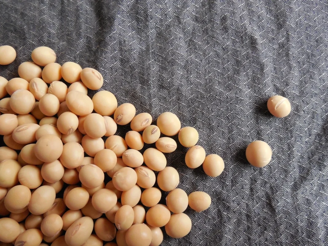 Imagem destacada AgRural Eleva Previsão da Safra de Soja para , Mi t