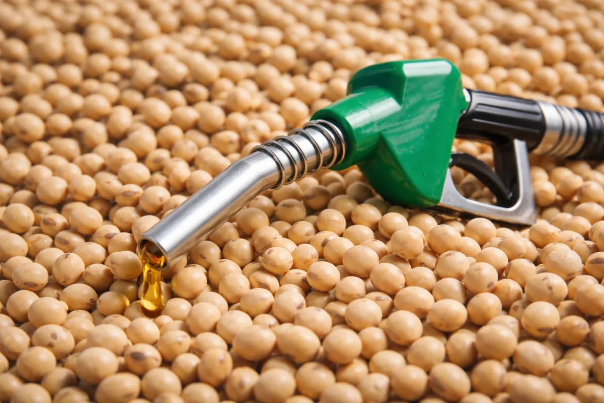 Imagem destacada Jerônimo Goergen assume Aprobio e mira avanço do biodiesel