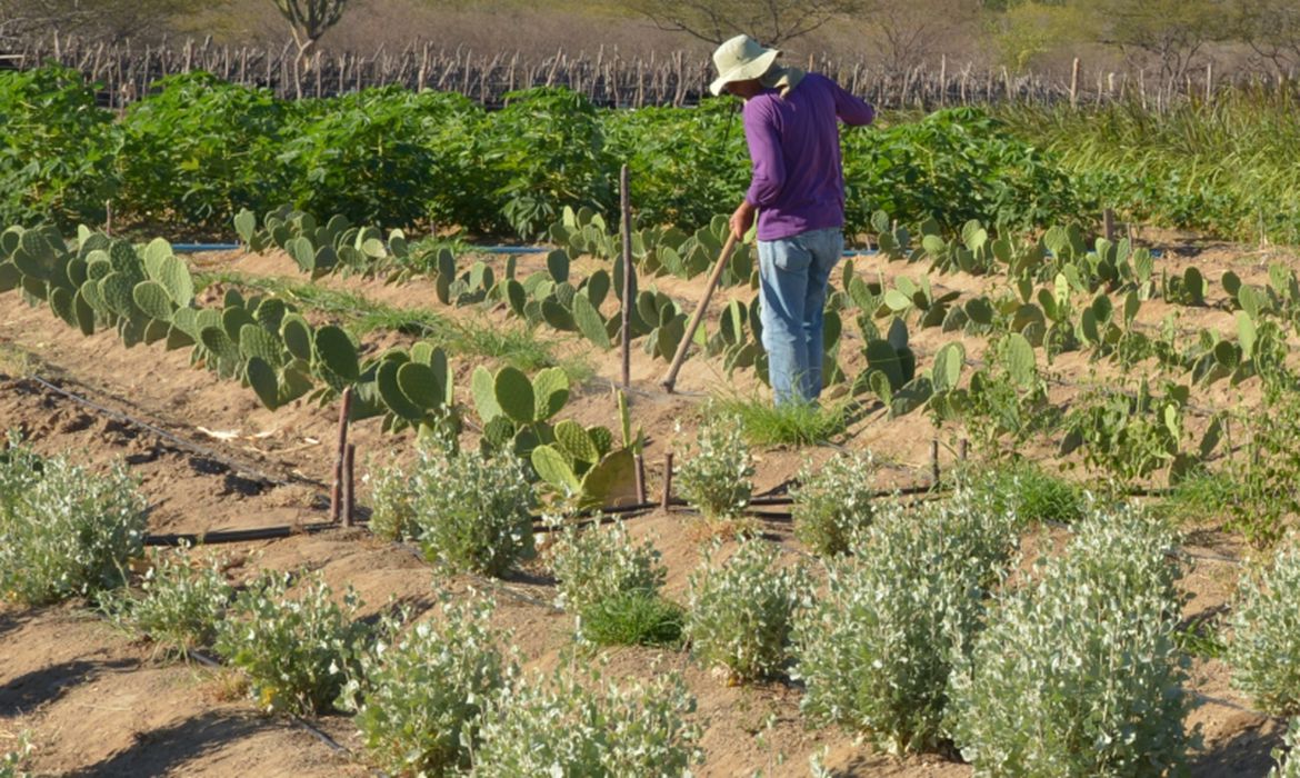 Imagem destacada Aplicativo GuardeÁgua Facilita Planejamento de Barragens